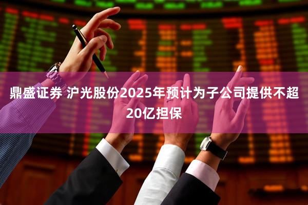 鼎盛证券 沪光股份2025年预计为子公司提供不超20亿担保