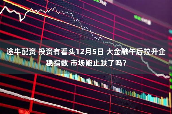 途牛配资 投资有看头12月5日 大金融午后拉升企稳指数 市场能止跌了吗？